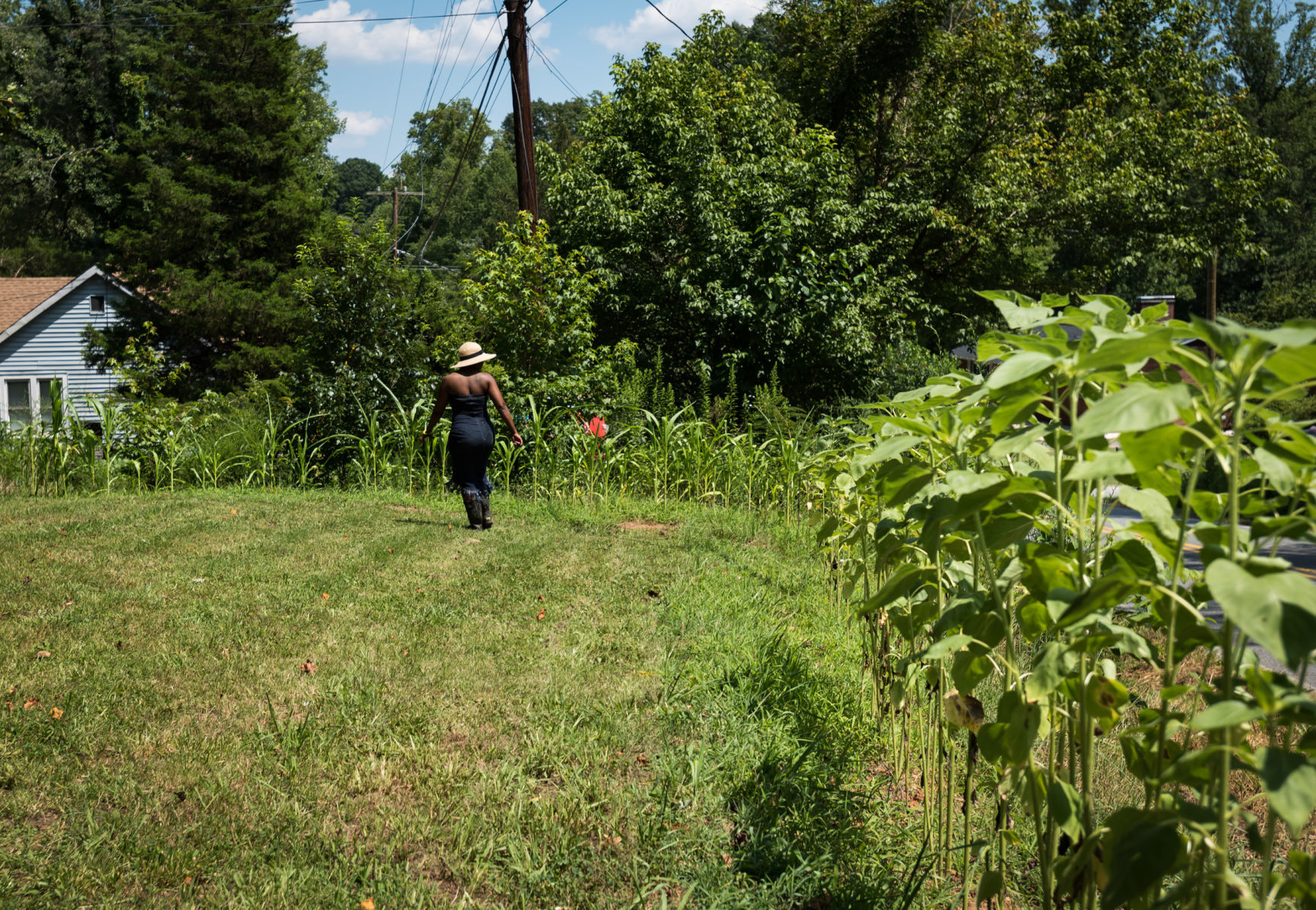 Mother's Finest Urban Family Farms
